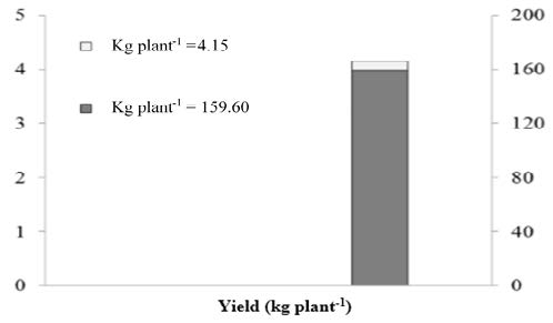 Yield (kg plant-1) per plant of the &lsquo;Roxo de Valinhos&rsquo; fig cultivar.