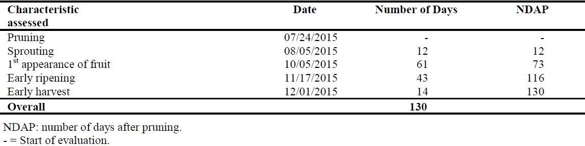 Phenological behavior of the &lsquo;Roxo de Valinhos&rsquo; fig cultivar.