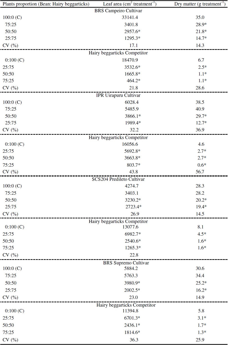Responses of the bean cultivars BRS Campeiro, IPR Uirapuru, SCS204 Predileto and BRS Supremo to hairy beggarticks interference for leaf area and shoot dry matter (DM), at 40 days after emergence.