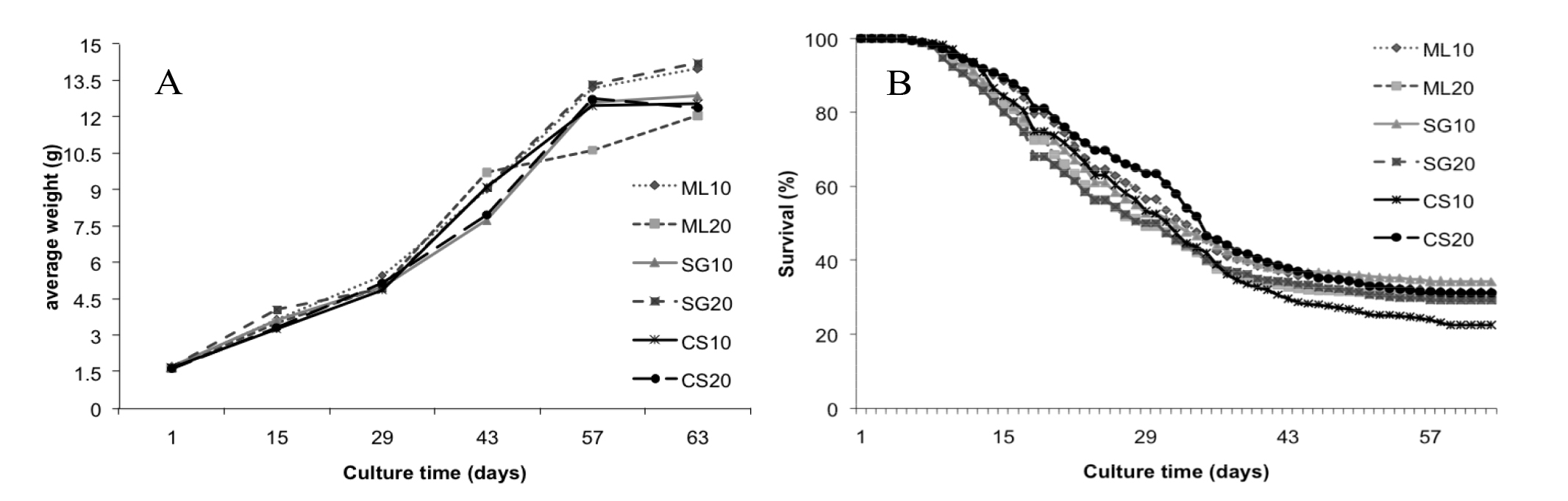 Evolution of the growth (A) and survival (B) of Nile tilapia reared without water exchange for 63 days, using carbon (C) to nitrogen (N) ratios of 10:1 and 20:1, adding molasses (ML), sugar (SG) and cassava starch (CS).