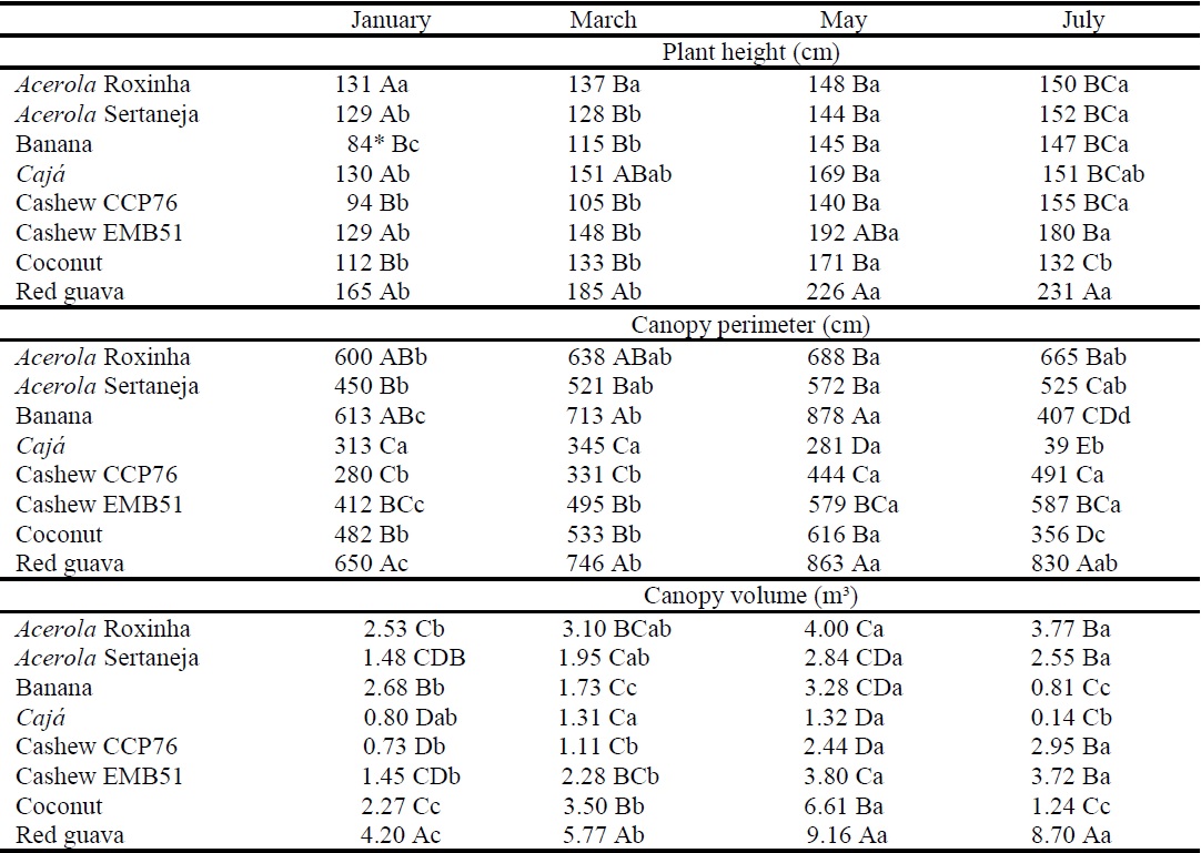 Canopy height, canopy diameter, and canopy volume of fruit tree species in silvopastoral systems during the experimental period.