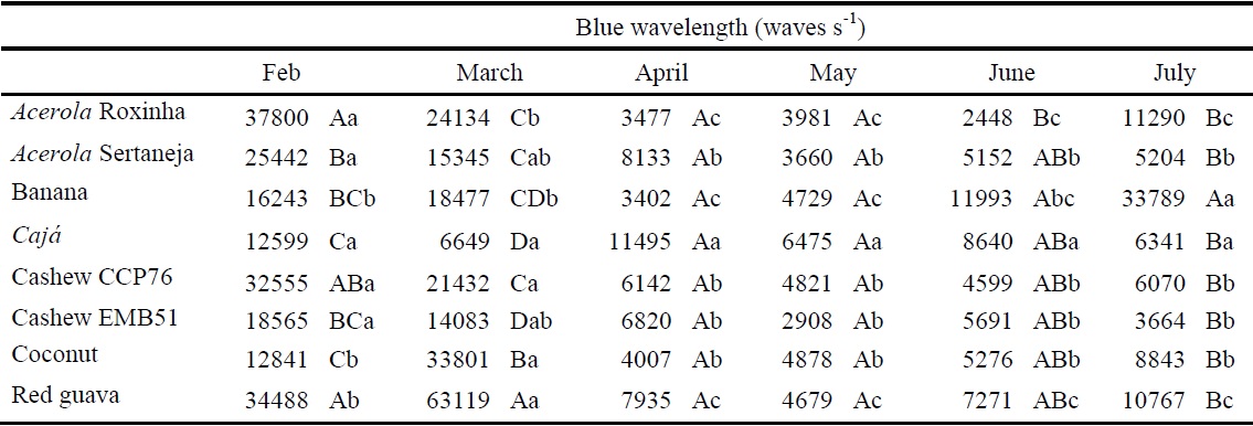 Blue wavelength (464 ηm) under canopy fruit tree species in silvopastoral systems during the experimental period.