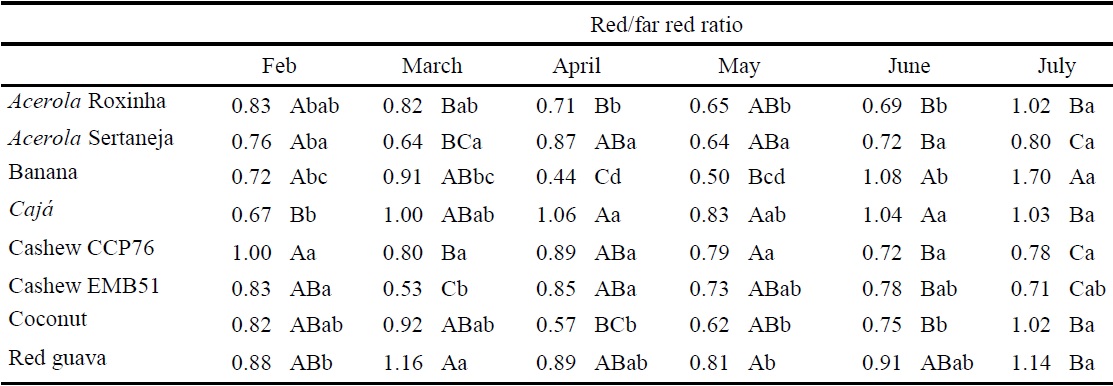 Red/far red ratio under the canopy of different fruit tree species in silvopastoral systems during the experimental period.