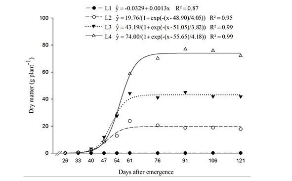 Total dry matter accumulation in Nicandra physalodes over the life cycle in four treatments of N, P and K. Treatments were: (L1) 0, 0.3, 17.2 mg dm-3 N, P, K; (L2) 30, 450.3, 75.4 mg dm-3 N, P, K; (L3) 60, 900.3, 133.4 mg dm-3 N, P, K; and (L4) 120, 1800.3, 249.68 mg dm-3 N, P, K.