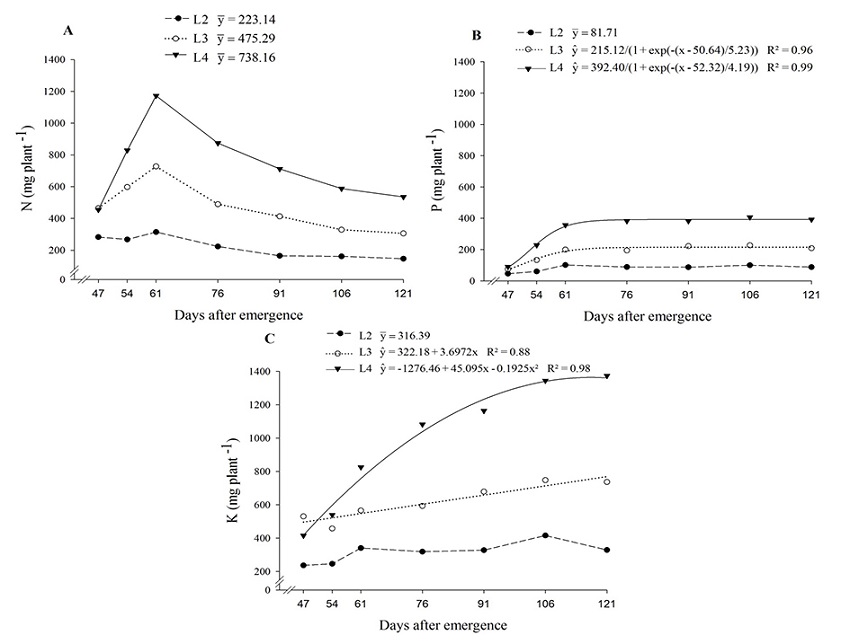 Total nitrogen (A), phosphorus (B) and potassium (C) accumulation in Nicandra physalodes over the life cycle in four treatments of N, P and K. Treatments were: (L1) 0, 0.3, 17.2 mg dm-3 N, P, K; (L2) 30, 450.3, 75.4 mg dm-3 N, P, K; (L3) 60, 900.3, 133.4 mg dm-3 N, P, K; and (L4) 120, 1800.3, 249.68 mg dm-3 N, P, K.