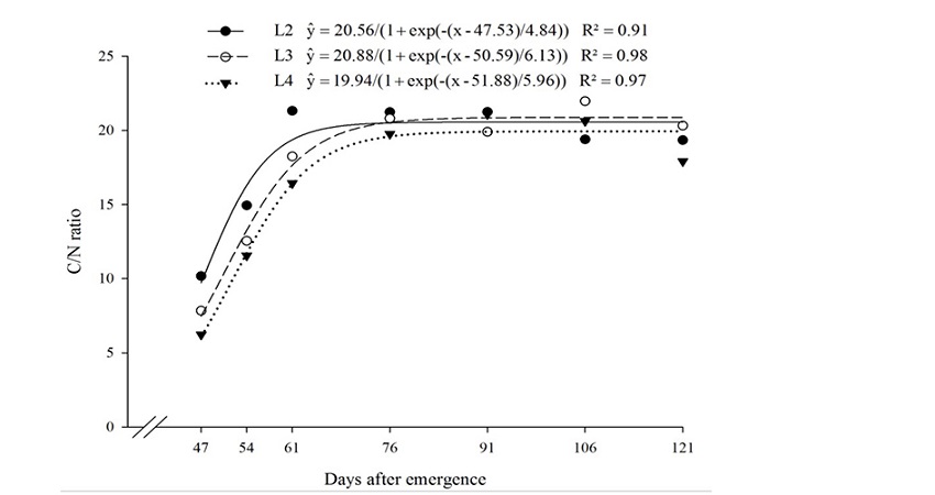 Carbon/nitrogen ratio (C/N) in Nicandra physalodes over the life cycle in four treatments of N, P and K. Treatments were: (L1) 0, 0.3, 17.2 mg dm-3 N, P, K; (L2) 30, 450.3, 75.4 mg dm-3 N, P, K; (L3) 60, 900.3, 133.4 mg dm-3 N, P, K; and (L4) 120, 1800.3, 249.68 mg dm-3 N, P, K.