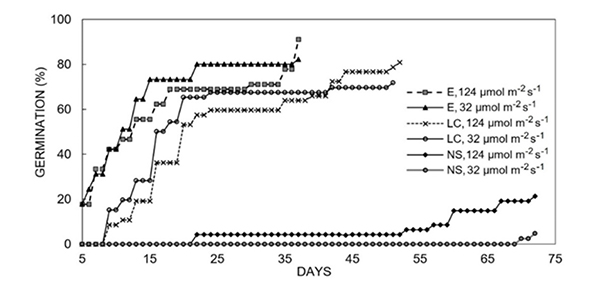 Cumulative germination percentage of 
 Myroxylon balsamum 
 seeds with three types of scarification and two levels of light intensities at a temperature regime of 27/23 &deg;C.