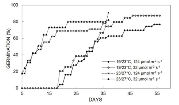 Cumulative germination percentage of Myroxylon balsamum seeds, embryo and cotyledons exposed (E), under different light intensities and temperature regimes.