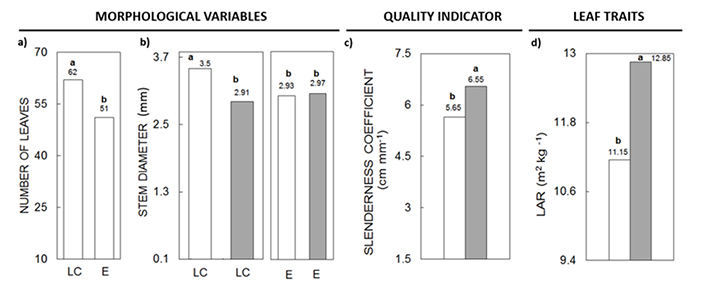 Significant differences in growth parameters during the development of 
 Myroxylon balsamum 
 seedlings in greenhouse; Tukey: p = 0.05. (a) Effect of scarification on the number of leaves; (LC) longitudinal cut, (E) embryo and cotyledons exposed. (b) Effect of light intensities and scarification on stem diameter (587 &micro;mol m-2s-1 white bars, 231 &micro;mol m-2s-1 gray bars). (c) Effect of light intensities on the slenderness coefficient (587 &micro;mol m-2s-1 white bars, 231 &micro;mol m-2s-1 gray bars). (d) Effect of light intensity on leaf area ratio (LAR) (587 &micro;mol m-2s-1 white bars, 231 &micro;mol m-2s-1 gray bars).