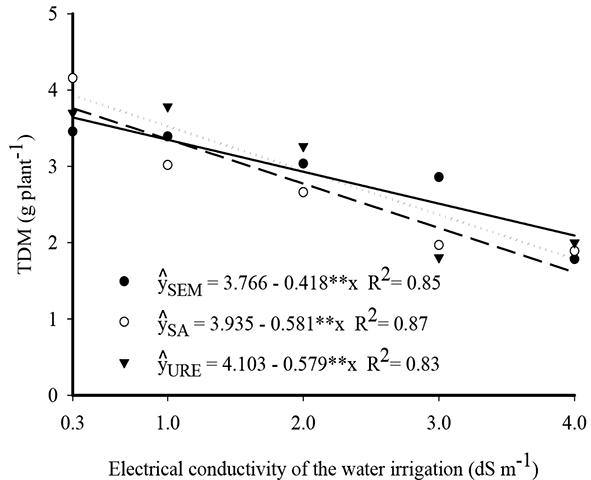 Total dry matter of jackfruit seedlings, in soil without nitrogen (-), with ammonium sulfate (- - -) and urea (····), as a function of the salinity of the irrigation water.