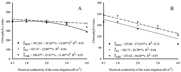 Chlorophyll a (A) and chlorophyll b (B) in leaves of plants grown without nitrogen (-), with ammonium sulfate (- - -) and with urea (····), as a function of the salinity of the irrigation water.