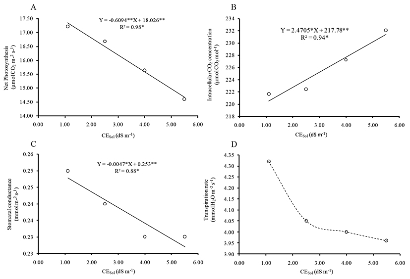Photosynthetic liquid (A), intracellular CO2 concentration (B), stomatal conductance (C) and transpiration rate (D) in melon plants (Cucumis melo L., cv. AF 015) growing in nutrient solution with different levels of salt concentration.