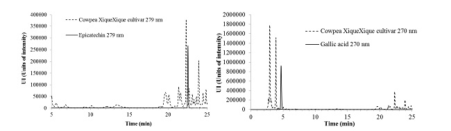 HPLC chromatograms of cowpea BRS cultivar Xiquexique extracts and the standards, epicatechin (measured at 279 nm) and gallic acid (measured at 270 nm).