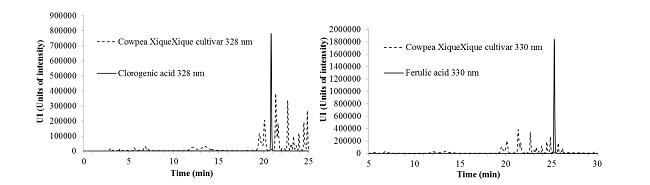 HPLC chromatograms of cowpea BRS cultivar Xiquexique extracts and the standards, chlorogenic acid (measured at 328 nm) and ferulic acid (measured at 330 nm).