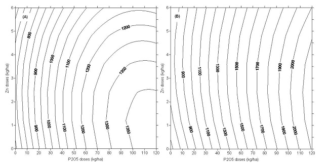 Technical yields of grains as a function of the application of P2O5 and zinc in &lsquo;BRS Guariba&rsquo; (A), and &lsquo;BRS Arac&ecirc;&rsquo; (B) cowpea cultivars.