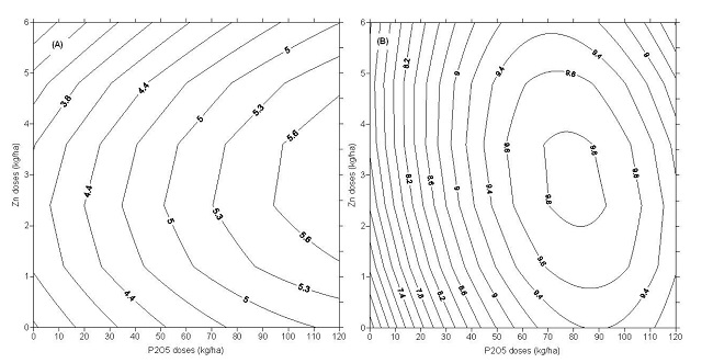 Number of pods per plant as a function of the application of P2O5 and zinc in &lsquo;BRS Guariba&rsquo; (A) and &lsquo;BRS Arac&ecirc;&rsquo; (B) cowpea cultivars.