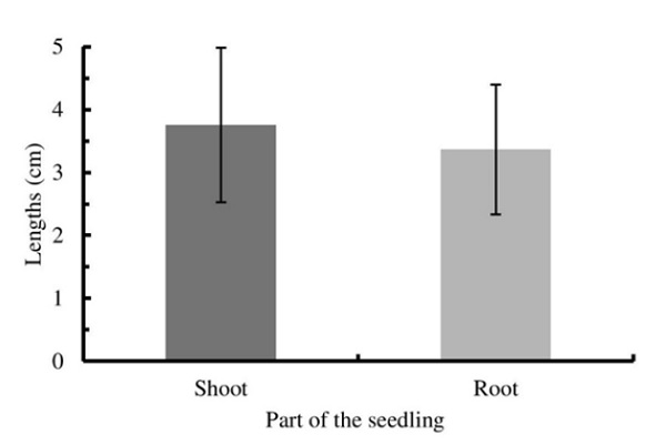 Shoot (hypocotyl + epicotyl + eophile) and root (primary root) lengths of Psidium sobralianum Landrum & Proen&ccedil;a seedlings.
