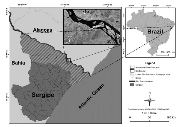 Location of the study area, municipality of Amparo de S&atilde;o Francisco - SE.
