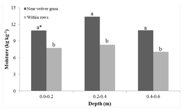 Soil moisture for the Neossolo Fl&uacute;vico of the riverbank of the Lower S&atilde;o Francisco River at different depths, measured near the plants and within rows. *Means followed by the same letter do not differ by the Tukey test at 1% probability.