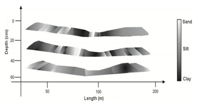 Schematic representation of texture in the experimental area at three depths (0-20, 20-40 and 40-60cm) of the Fluvic Neossol.