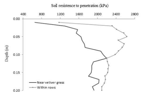Mechanical resistance of the Neossolo Fl&uacute;vico to penetration (RP) at 0-0.20 m depth, at points close to vetiver grass plants and within rows.