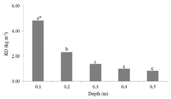 Root density (RD) of vetiver grass in the experimental area at different soil depths. *Means followed by the same letter do not differ by the Tukey test at 1% probability.