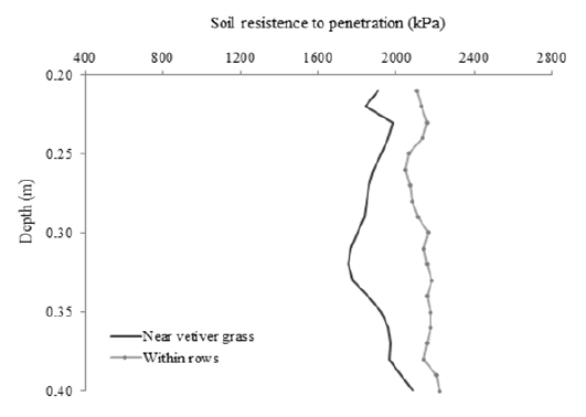 Mechanical resistance of the Neossolo Fl&uacute;vico to penetration at a depth of 0.20-0.40 m, at points near to vetiver grass plant and at points within rows.