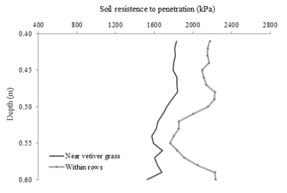 Mechanical resistance of the Neossolo Fl&uacute;vico to penetration at 0.40-0.60 m depth, at points near the vetiver grass and at points within rows.