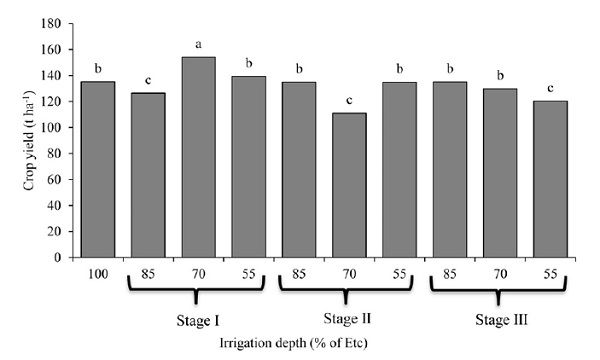Average yield of sugarcane crops subjected to different water depths in two crop cycles. Means followed by the same letter are similar by the Scott-Knott's test at 5% probability.