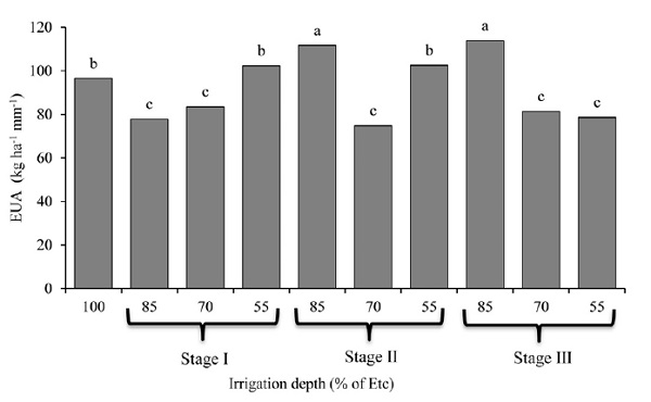 Water use efficiency of sugarcane plants subjected to different water depths in three development stages (Stage I, Stage II, and Stage III), and no water stress (100% of ETc), in two crop cycles. Means followed by the same letter are similar by the Scott-Knott's test at 5% probability.