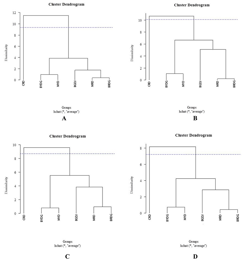Dendrogram based on the Mahalanobis distance and UPGMA cluster method for six dwarf coconut accessions estimated from 30 quantitative descriptors referring to years 1 (A), 2 (B), and 3 (C) and the joint analysis of these years (D).