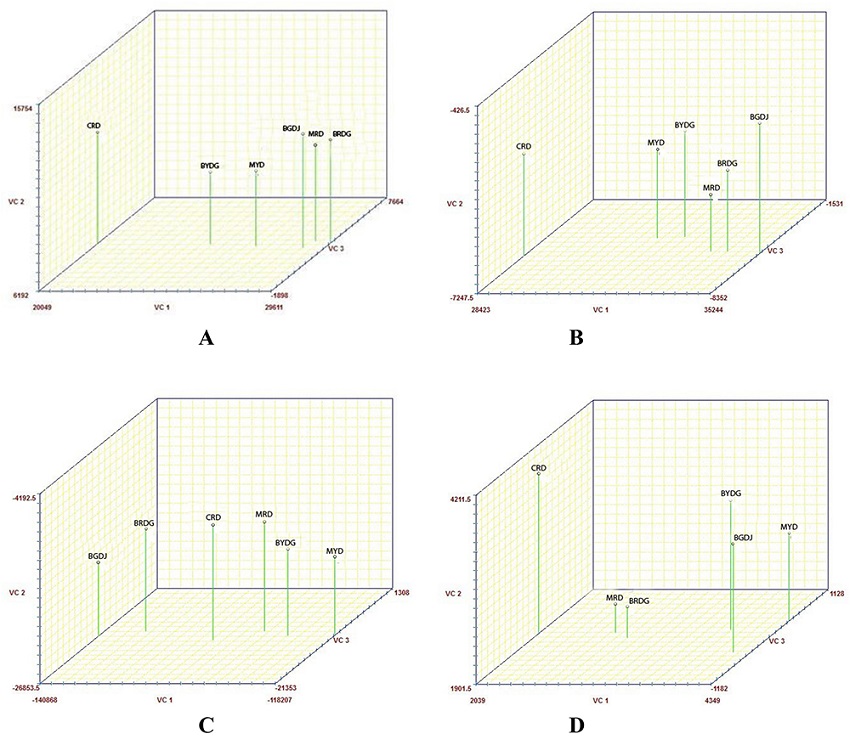 Dispersion of scores of six dwarf coconut accessions in relation to the first two canonical variables (CV1 and CV2) and accumulated variance (%) based on agronomic traits measured in years 1 (A), 2 (B), and 3 (C) and in the joint analysis for these years (D).