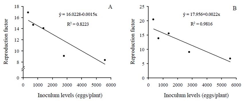 Reproduction factor of Meloidogyne incognita race 3 (A) and Meloidogyne javanica (B) in Crambe abyssinica plants of the FMS-Brilhante cultivar.
