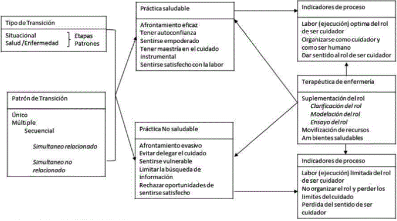 Constructo Adopción del Rol del Cuidador en el marco de la Teoría de Afaf Meleis.