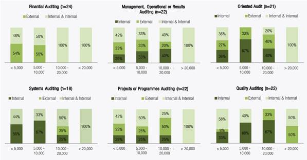 Types of auditing by INSTITUTION size