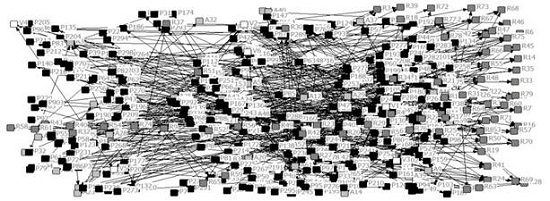 Rede de investimentos p&uacute;blico-privados
