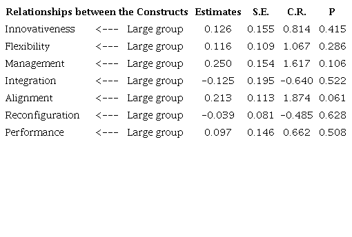 Statistical Significance of the Effects for the &ldquo;Large Group&rdquo;