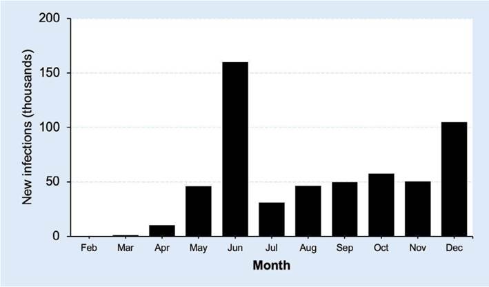 New COVID-19 cases per month in Chile (2020)