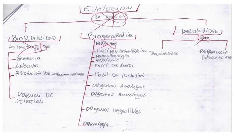 Figura 7. Mapa conceptual realizado por estudiante n°21 en pretest