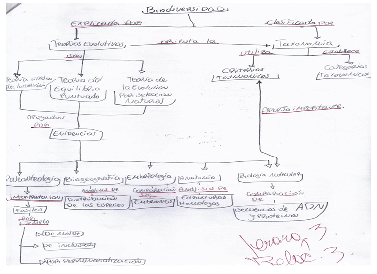 Figura 8. Mapa conceptual realizado por estudiante n°21 en postest