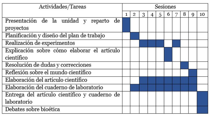 Figura 1. Cronograma de las sesiones y actividades