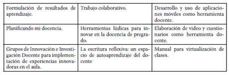 Temáticas de las estrategias de los Centros de Apoyo a la Docencia de las Universidades de la Región de Coquimbo.