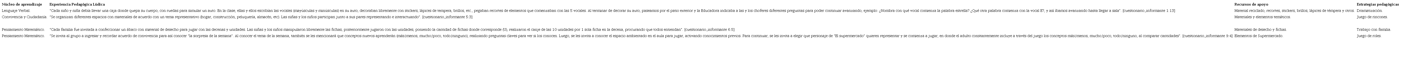 Experiencias pedag&oacute;gicas l&uacute;dicas