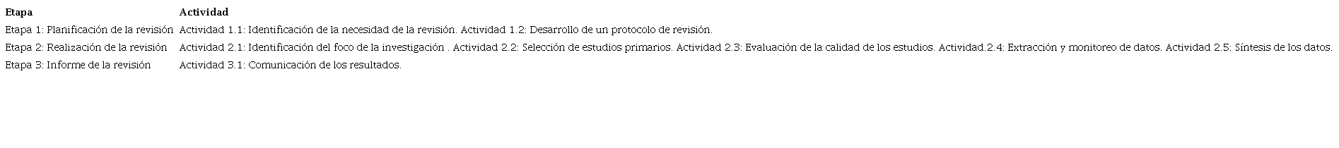 Fases descritas en la revisión de literatura.