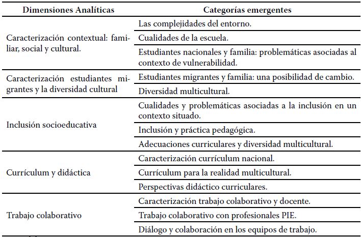 Categor�as emergentes y Dimensiones Anal�ticas. Fase 1 Diagnosis reflexiva.