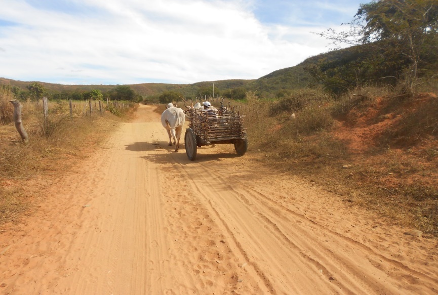 Carro de Boi como um
dos meios de transporte utilizados pela Comunidade Porteira de Santa Cruz