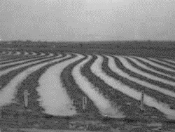 Captação de água in
situ