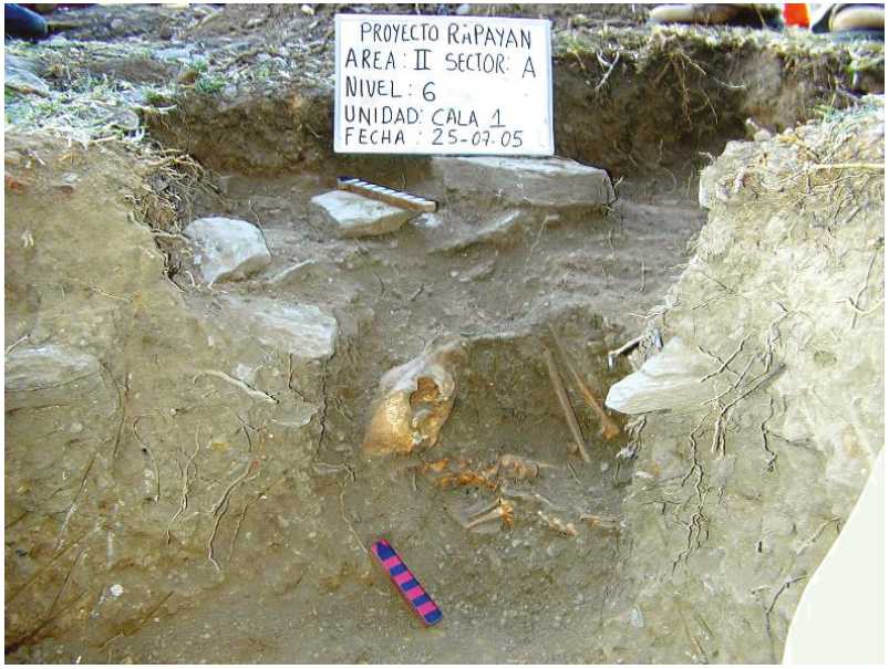 Sepultura completa de un perro con los huesos articulados, lado noreste del nivel 6 al inicio de la construcción del edificio de varios pisos, trinchera 1, área II (foto: Alexis Mantha).