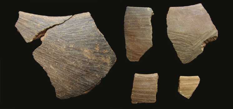 Bordes de ollas cerradas y cántaros con ranuras (paletada), niveles 9 y 8, estructura 15, área ii (foto: Hernando Malca Cardoza).