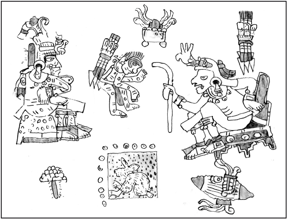 Figura 10. 